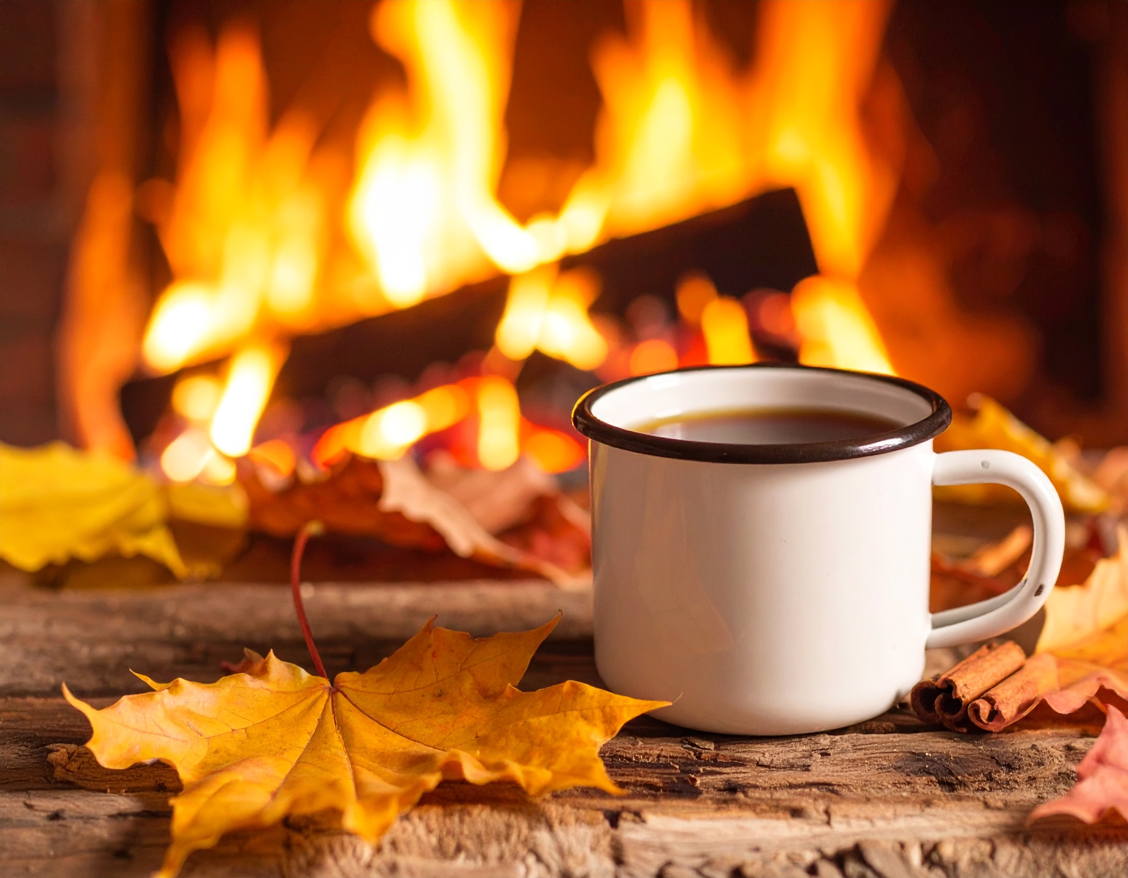 Your Rights as a Psychotherapy Client