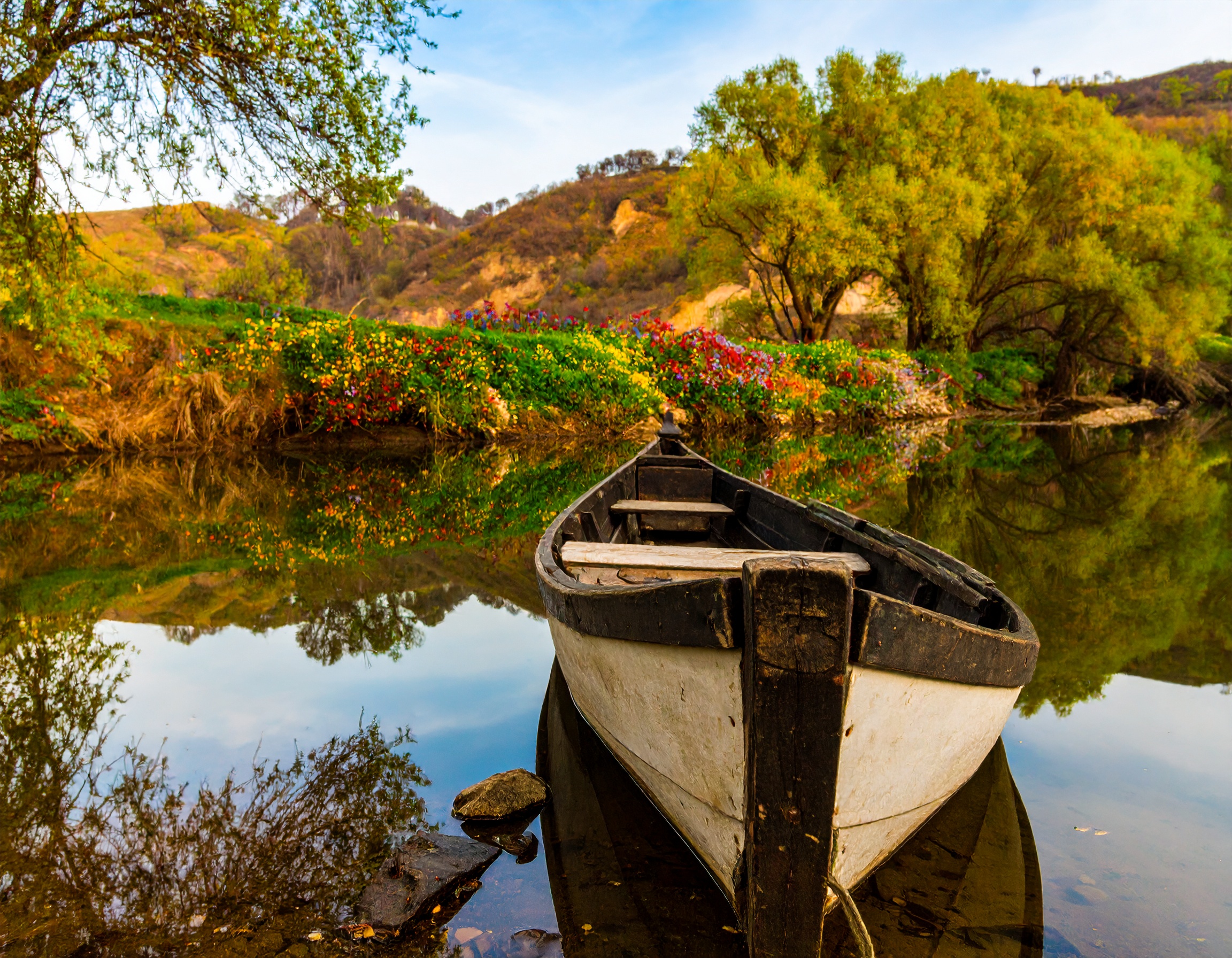 What is Shalom Bayis Therapy at Pesach Tikvah?