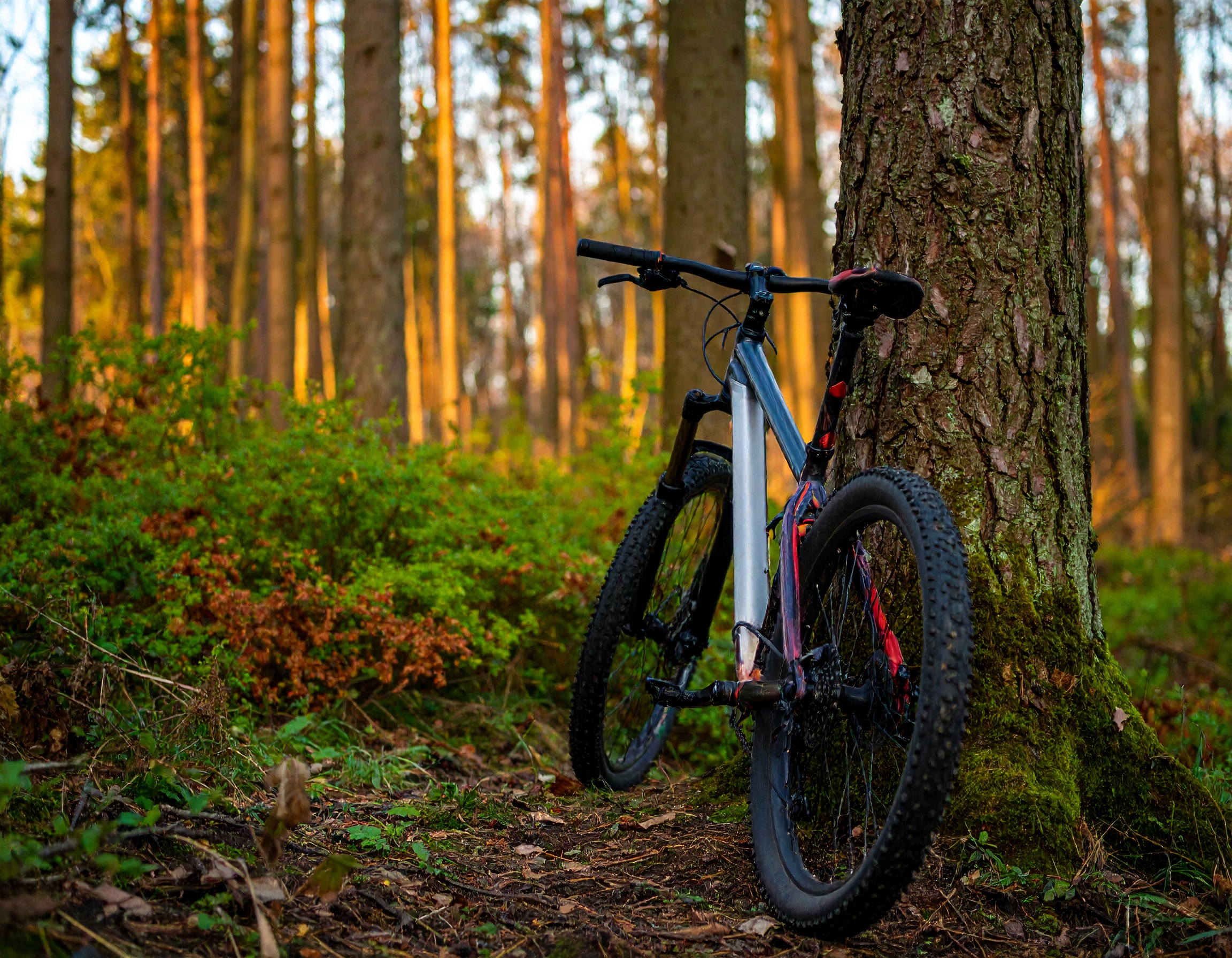 Story of Recovery from a Manic Episode