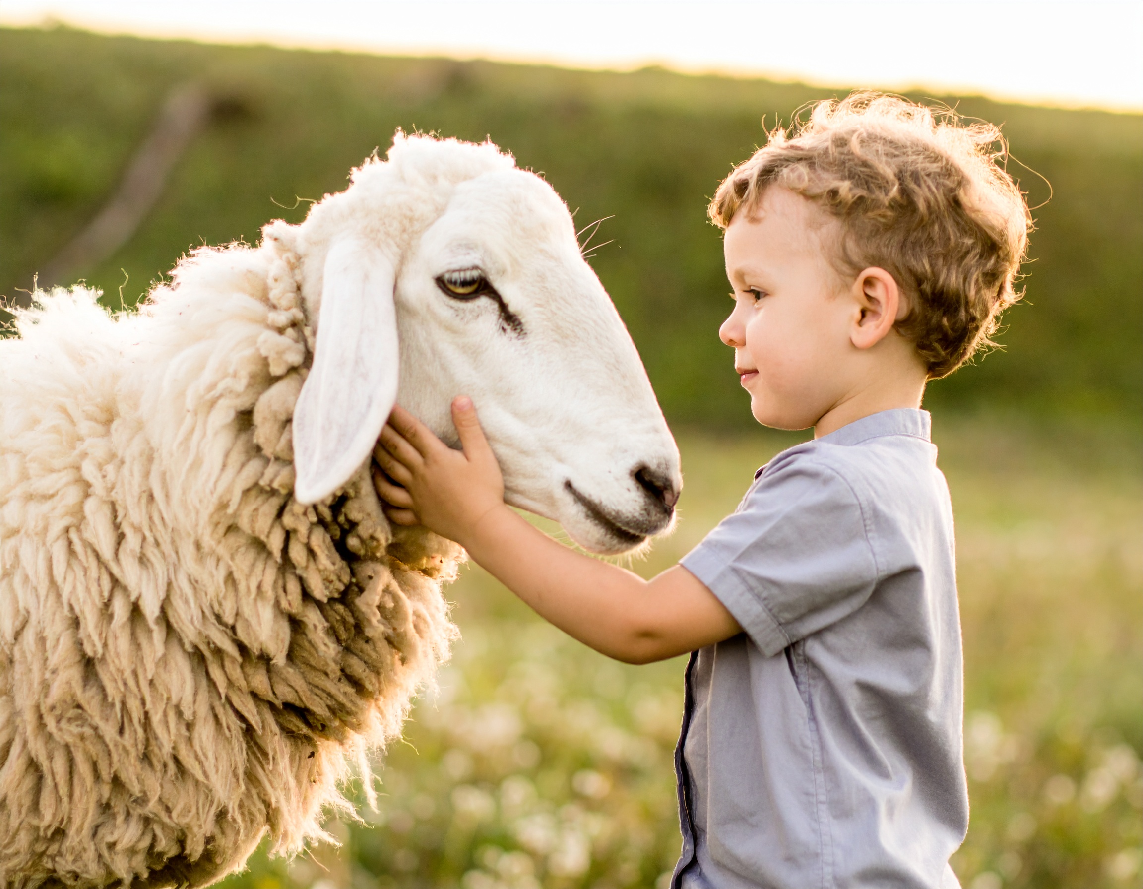 Anxiety in Children 