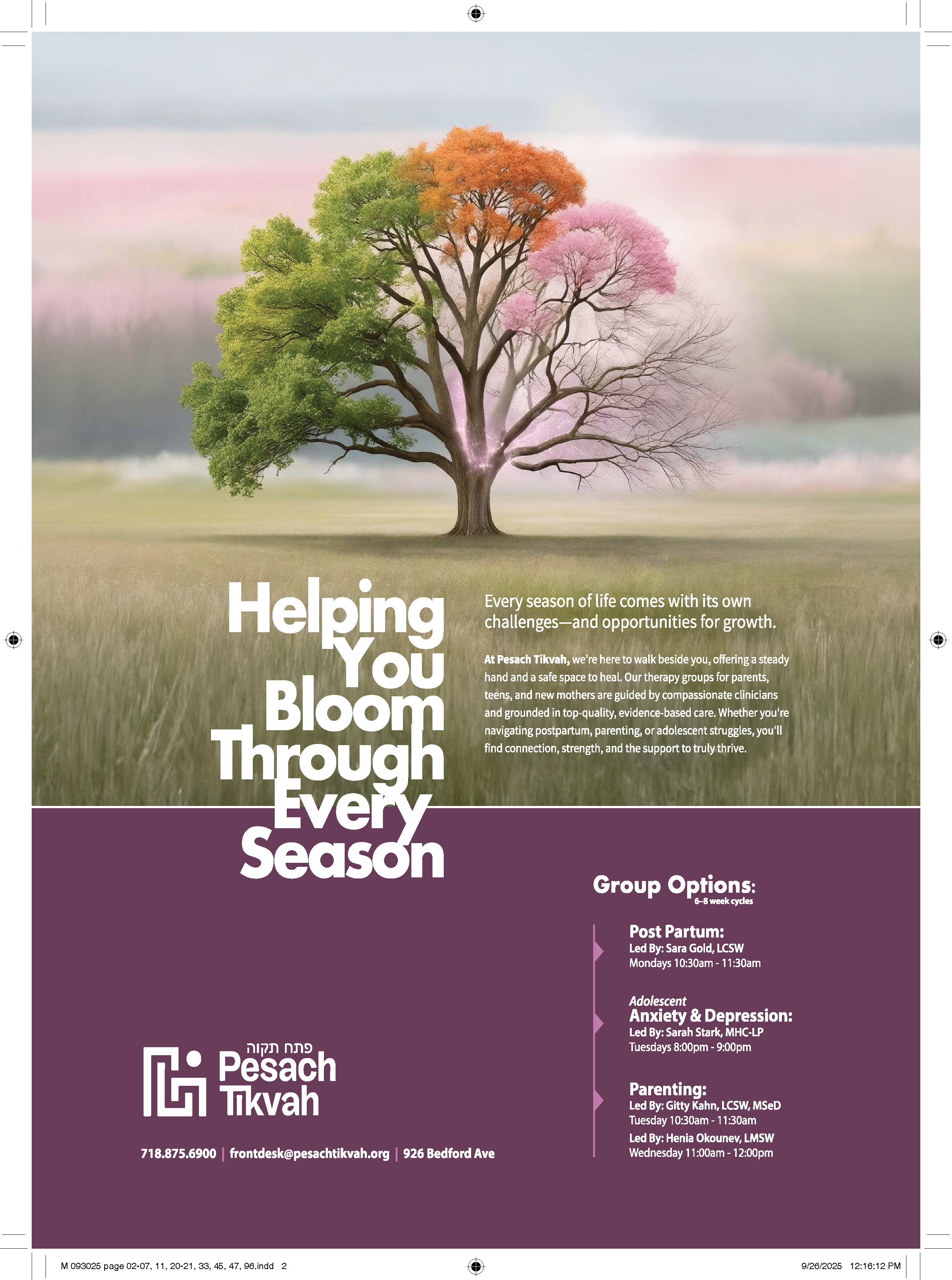 Therapy Groups in Williamsburg