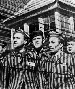 Emergency Assistance for Needy Holocaust Survivors